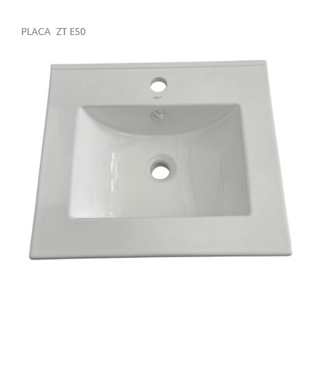 Placa ZT E50