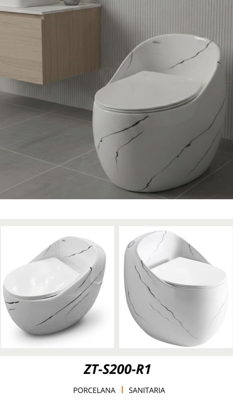 Porcelana Sanitario ZT-S200-R1
